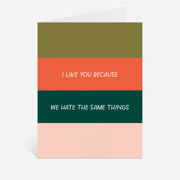 I Like You Because We Hate The Same Things Greeting Card